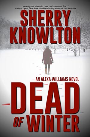 Cover for Dead of Winter by Sherry Knowlton