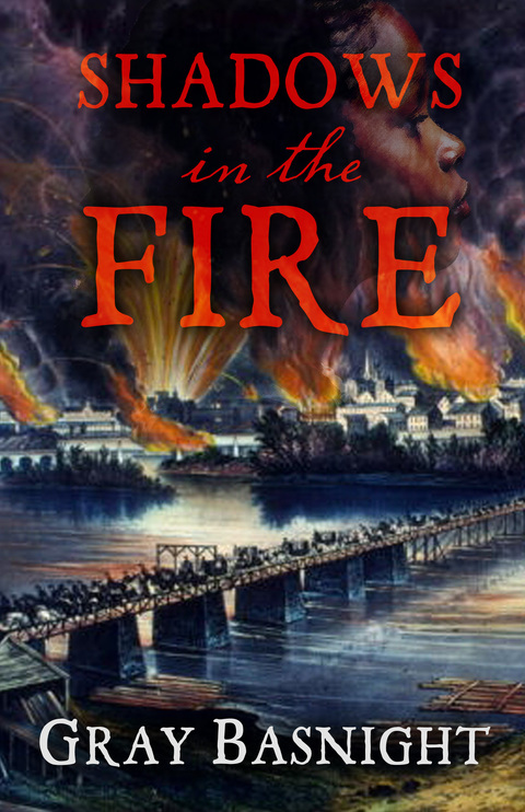 Cover for Shadows in the Fire