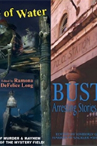 Covers of the Anthologies where my stories were featured